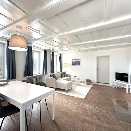 Business Apartemtents Zimmerzuvermieten Apartment Oberbipp