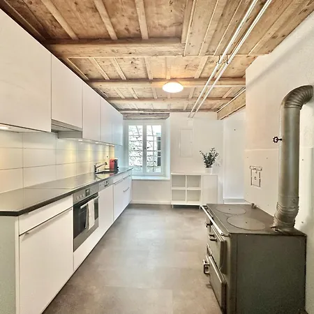 Apartment Business Apartemtents Zimmerzuvermieten Oberbipp